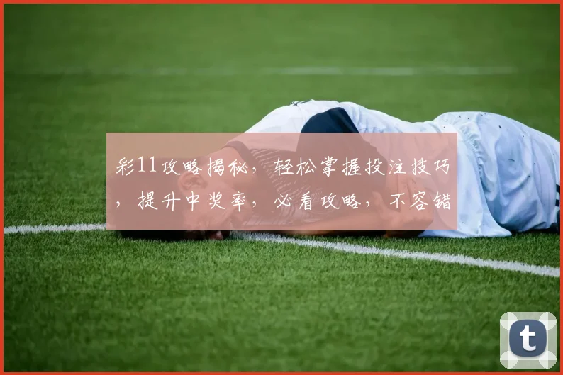彩11攻略揭秘，轻松掌握投注技巧，提升中奖率，必看攻略，不容错过